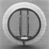 St. Jude bileaflet valve